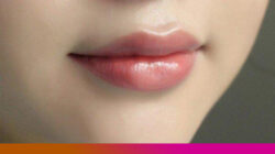Ilustrasi Bibir Terawat