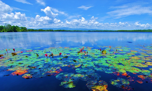Tempate Eksotik Bengkulu - Danau Dendam