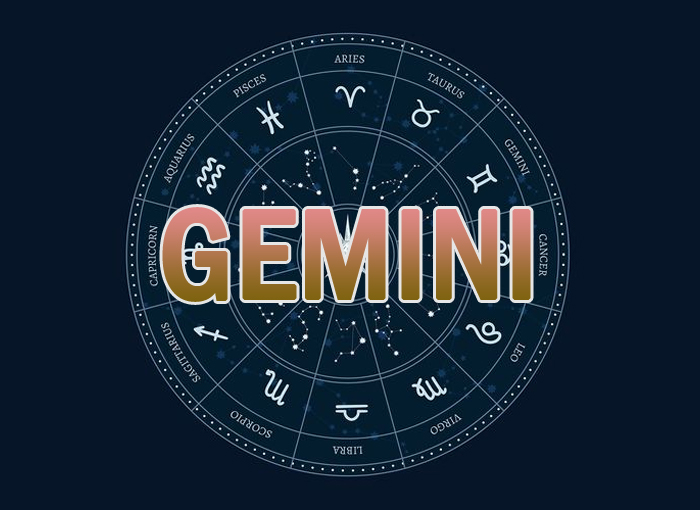 GEMINI