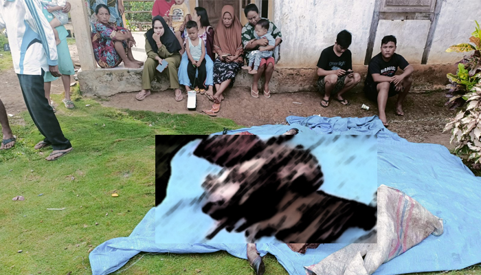 Warga melihat sapi yang dicuri