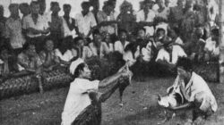 Legenda Sabung Ayam