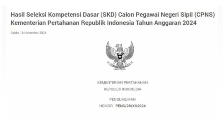 Pengumuman CPNS 2024