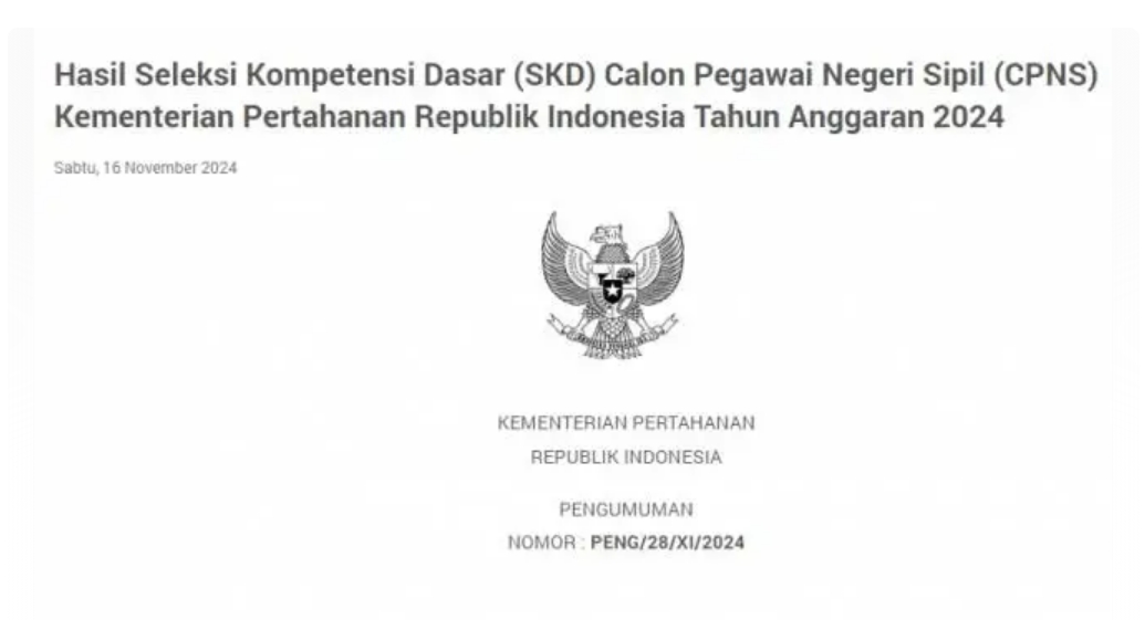 Pengumuman CPNS 2024