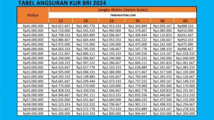 3. Tabel Angsuran Rp41 juta hingga Rp60 juta