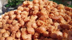 Kacang Kribo