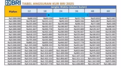Tabel KUR BRI 2025