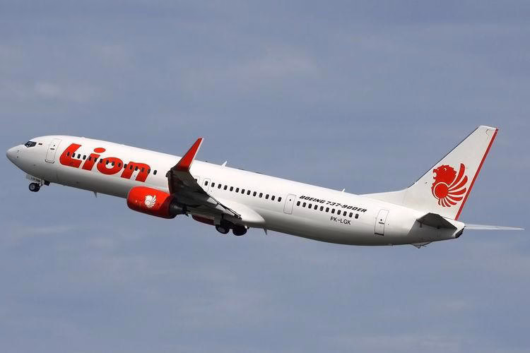 Ilustrasi pesaawat Boeing 737-900ER Lion Air