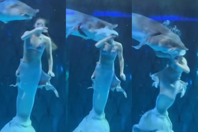 Viral video insiden penari putri duyung diserang ikan raksasa